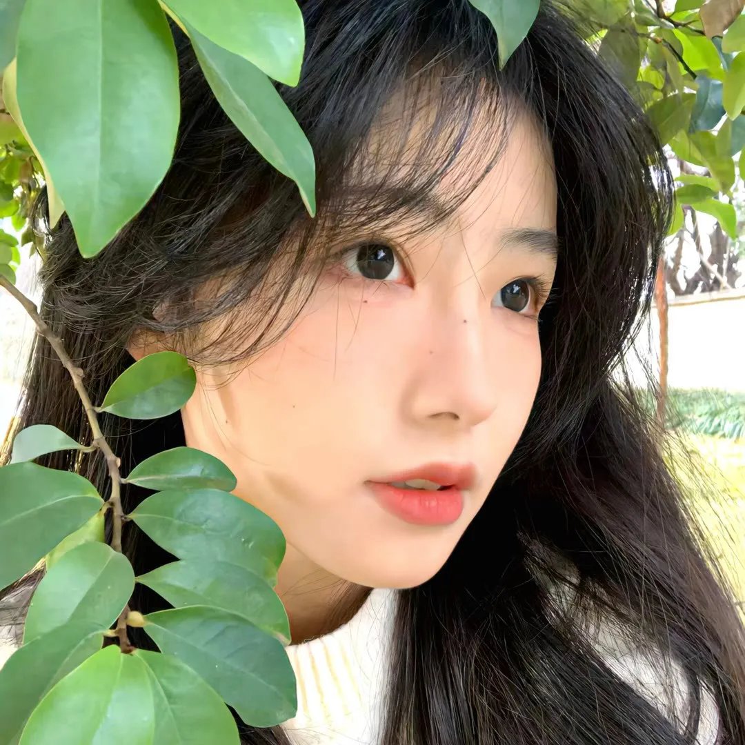 我的如意狼君国语